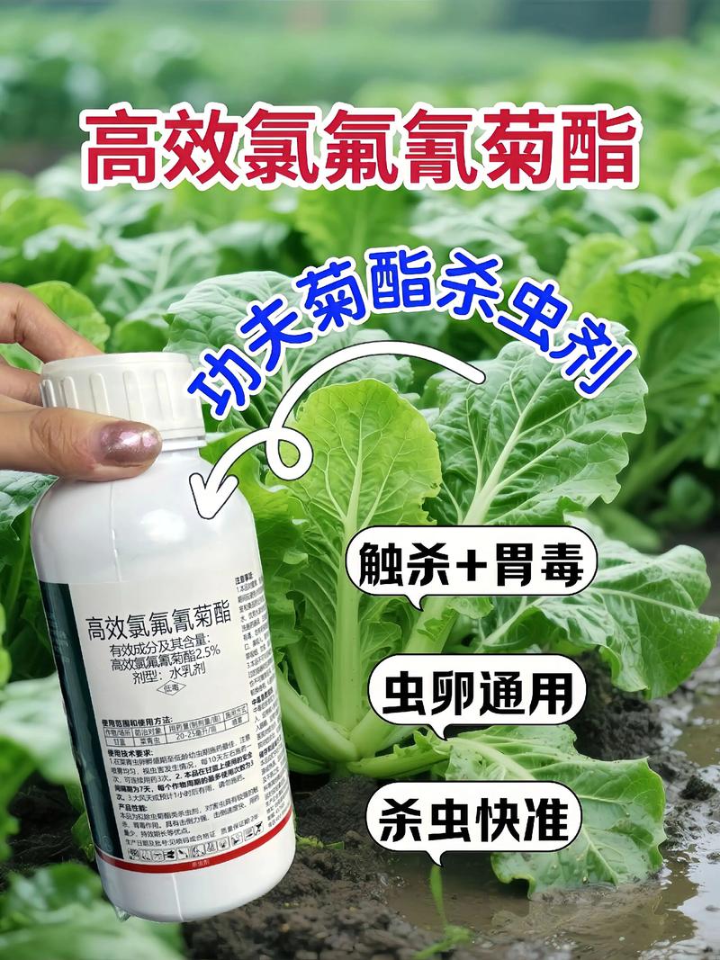 乌兰察布代生中心:农药对供卵代生妈妈的危害